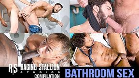 Bathroom Sex Compilation, Scene #04