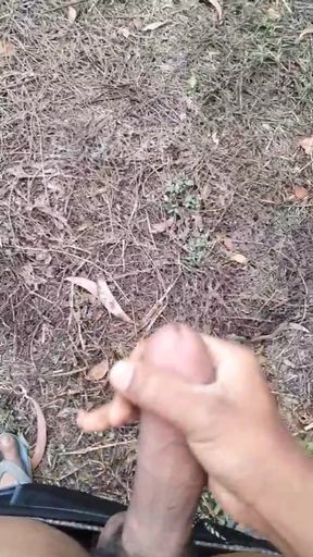 Indian boy hot masterbet Big panis