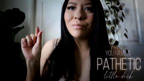 You Have A Pathetic Little Dick