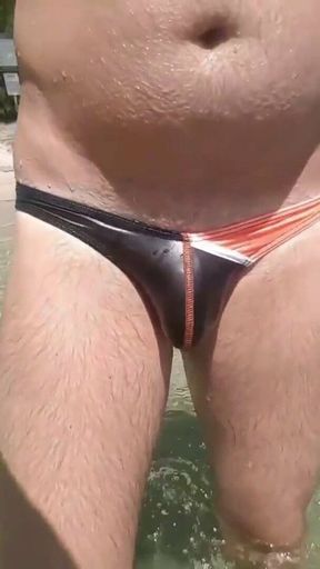 micro speedo wet