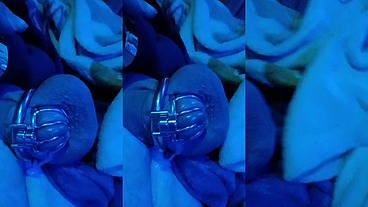 Puppy cuming caged