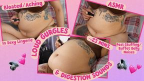 LOUD Gurgles & Digestion Sounds After Giant Buffet Binge - Stuffed + Aching In My Sexy Lingerie [Belly Sounds - 23 MINS.]