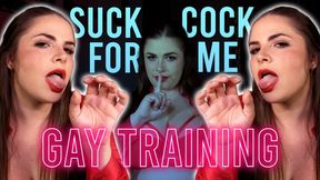 Training You Gayer