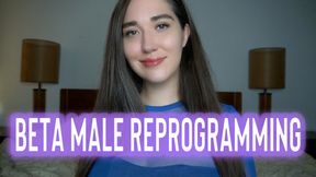 Beta Male Reprogramming - Goddess Venus