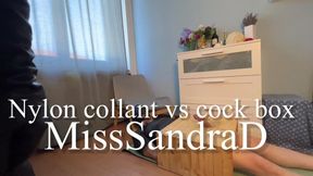 Nylon collant vs cock box (ita)