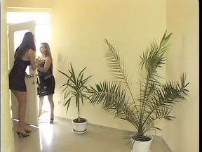 Horny lesbians fucking with strap-on