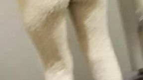 Video shared by @naughtymolly @Teasing & #Brunette #Sexy #Solo free porno hot | Tik.Porn