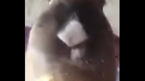 D&iacute_a del platano full HD (conejita come platano)