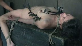 Wicked and hardcore BDSM action with cloth pins for slender pale skin lady