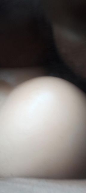 Black Bull Doggying His Bubble Butt Toy. 👑