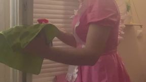 Discipline ménagère