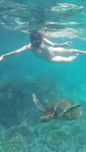 Underwater Adventure