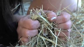 Brunette fucking redneck on hay
