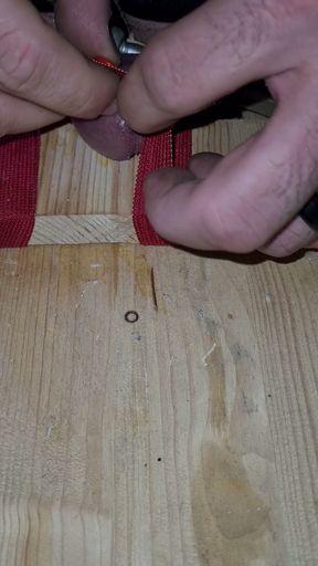 Elektro torture and pins   Clip 1