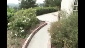 Wild Princess Loves Hot Queen