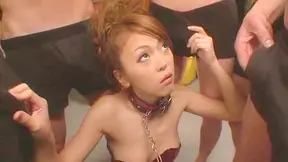Asian Babe Loves Sucking Stiff Dicks with Naughty Blowjob Skills