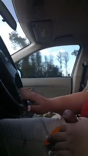 TRANSEXUAL HWY JERK TRUCKER CUMSHOT