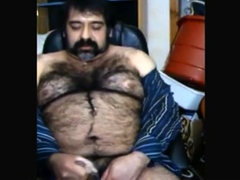 Big hairy bear and hairy body