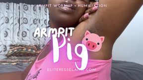 Armpit Pig