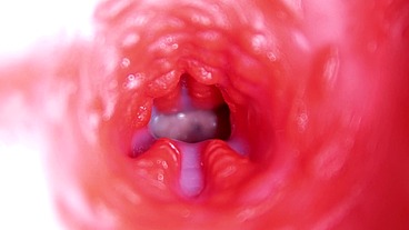 Extreme close up of a big cock in a sloppy wet sweet hole!