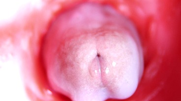 Extreme close up of a big cock in a sloppy wet sweet hole!