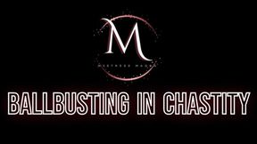 Mistress Magda - Ballbusting in chastity