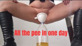 All the pee I collected in 1 day