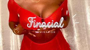 Sexy Financial Domination