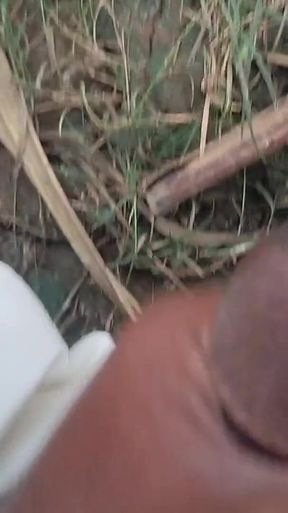 Desi Mahol