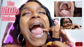 Feti The Little Trainer-Phoenix 1080