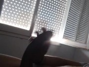 Estoy muy caliente, quiero tu jugosa vagina