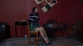 6011 Dolly in Chairtie Excitement
