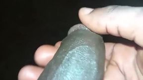 Ebony Vip Unleashes Wild Anal Passion