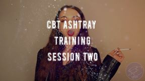 CBT Ashtray Training - Session Two