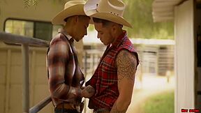 Stallion With Throbbing 10-pounder In Rural Area