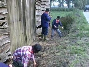 DVD Xkiss - Polder sex