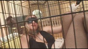 Blindfolded babe with big ass gets fucked by BBC