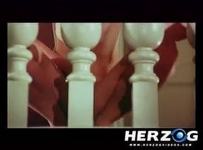 Herzog Videos Hairy seventies porn