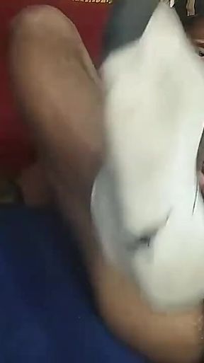 In a Crystal Rush Wanting to Take Dick in a Private Show