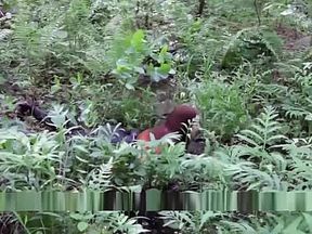 Incredible xxx movie Amateur exclusive seductive full version