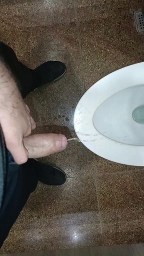Public Toilet: Indian Guy Pee Masturbation in Washroom