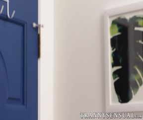 Mesmerizing tranny barebacked hard by her hunky lover