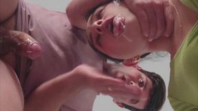 Sucking Big Cocks