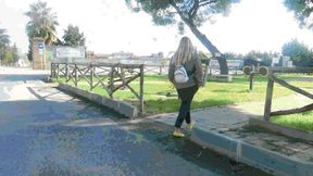 An Unplanned Walk WMV (1920x1080) FHD