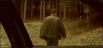 Trio boys In Woods