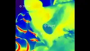 Solo Act Fever: Amateur Queer Guys Hot Blowjob Fantasies Heat Up – GayPornHub