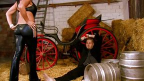 Dominant Fucking 68 w m v