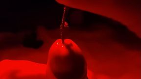 5 nettle and the cock