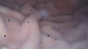 Tinies In Belly 1080 smaller