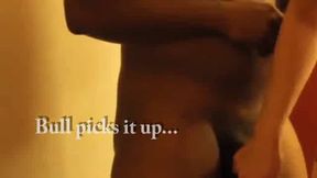 Slut wife intimate with bbc bulls